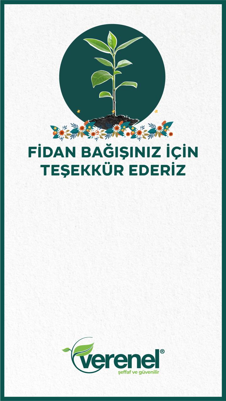 fidan bağışı